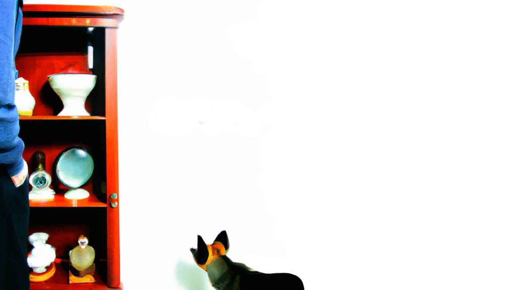 Representación de datos curiosos