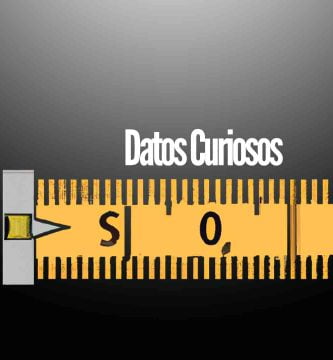 Datos curiosos cortos