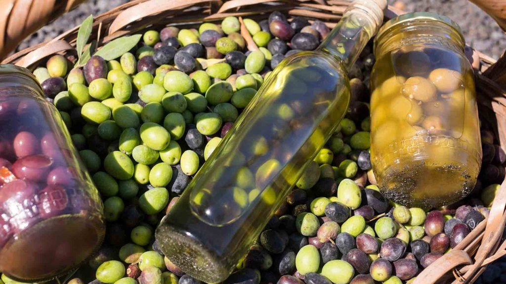Olivas para datos curiosos de España