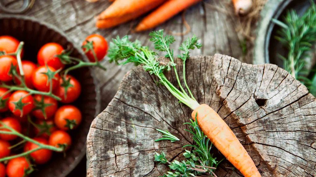 verduras-en-el-campo