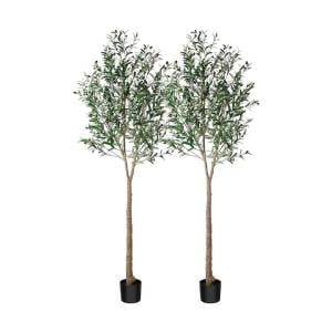 Olivo-Artificial-Planta